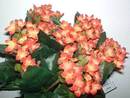 Calanchoe bush x 5 in poliester - Sconti per Fioristi e Aziende - Vari colori