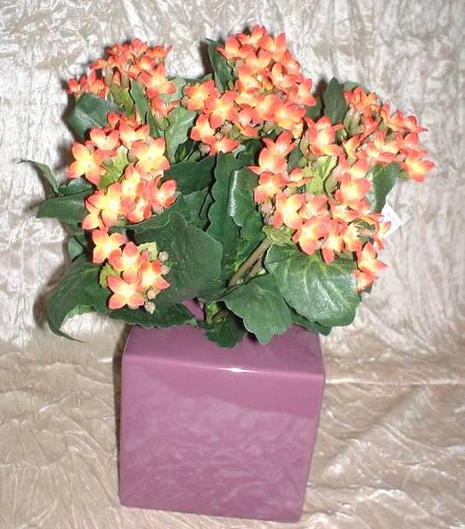Calanchoe bush x 5 in poliester - Sconti per Fioristi e Aziende - Vari colori