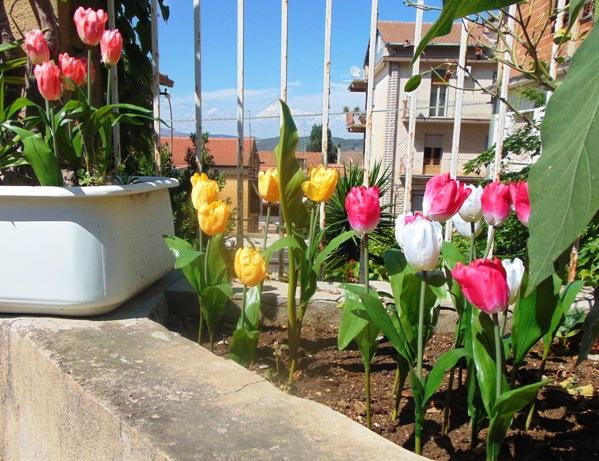 Tulipano Olandese Artificiale H 40 in poliestere - Sconti per Fioristi e Aziende .