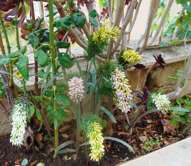 Privet Wild Gommato H 85 - Sconti per Fioristi e Aziende - Artificiale