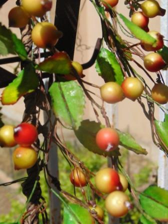 Ribes Cadente H 95 animato in 2 modelli - Sconti per Fioristi e Aziende .