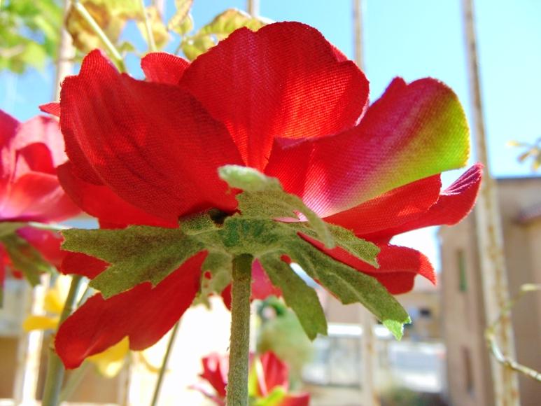 Anemoni spray x 2 H 56 in poliestere - Sconti per Fioristi e Aziende .