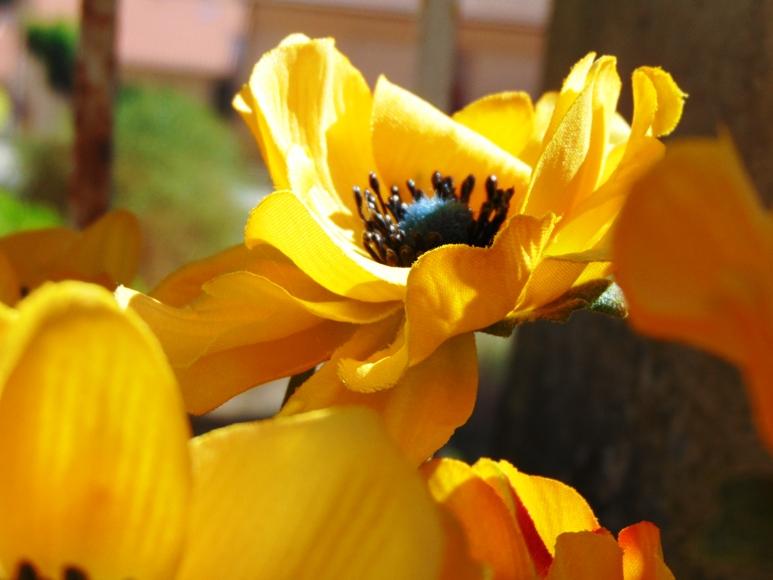 Anemoni spray x 2 H 56 in poliestere - Sconti per Fioristi e Aziende .