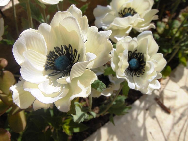 Anemoni spray x 2 H 56 in poliestere - Sconti per Fioristi e Aziende .