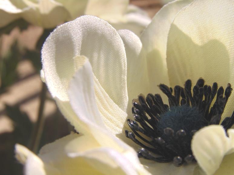 Anemoni spray x 2 H 56 in poliestere - Sconti per Fioristi e Aziende .