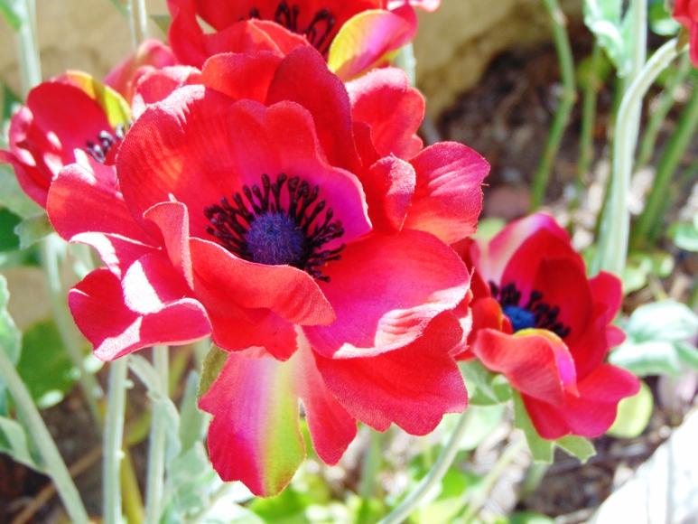 Anemoni spray x 2 H 56 in poliestere - Sconti per Fioristi e Aziende .