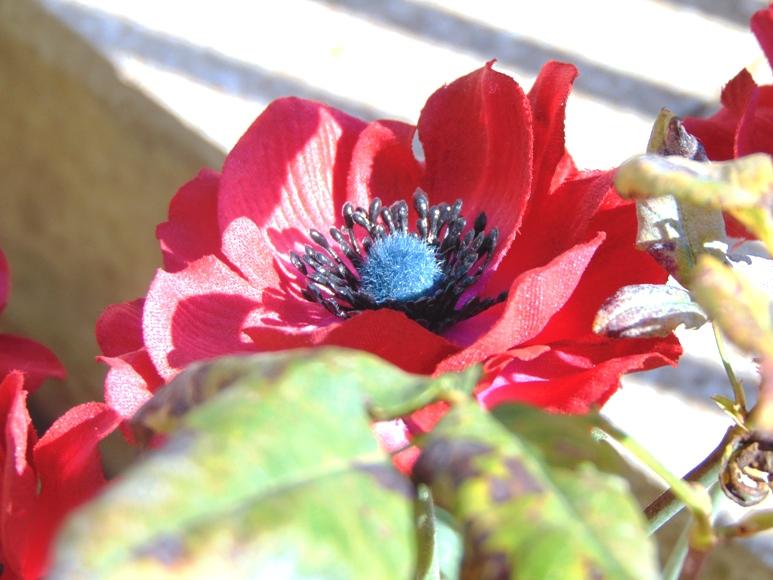 Anemoni spray x 2 H 56 in poliestere - Sconti per Fioristi e Aziende .