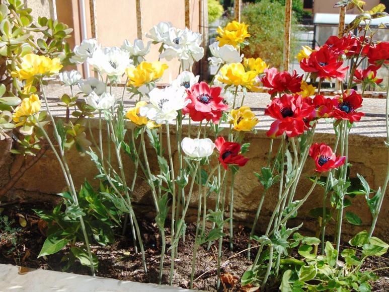 Anemoni spray x 2 H 56 in poliestere - Sconti per Fioristi e Aziende .
