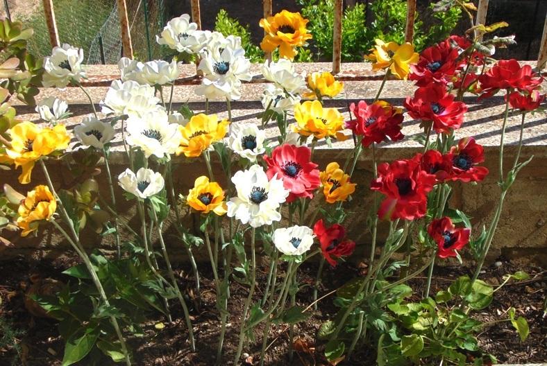 Anemoni spray x 2 H 56 in poliestere - Sconti per Fioristi e Aziende .