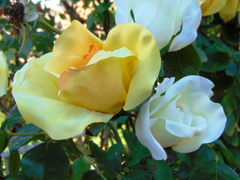 Bocciolo di rosa con 6 foglie in poliestere - Sconti per Fioristi e Aziende .