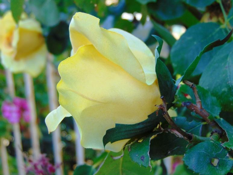 Bocciolo di rosa con 6 foglie in poliestere - Sconti per Fioristi e Aziende .