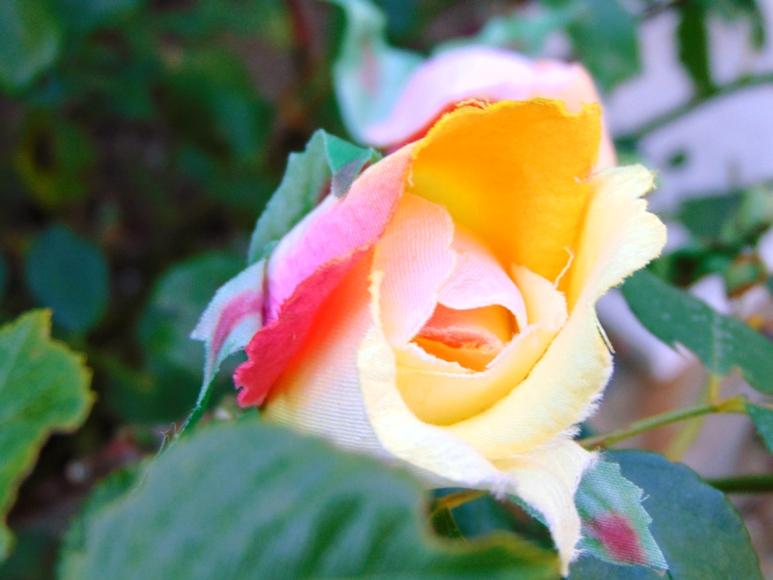 Bocciolo di rosa velvet in poliestere - Sconti per Fioristi e Aziende .