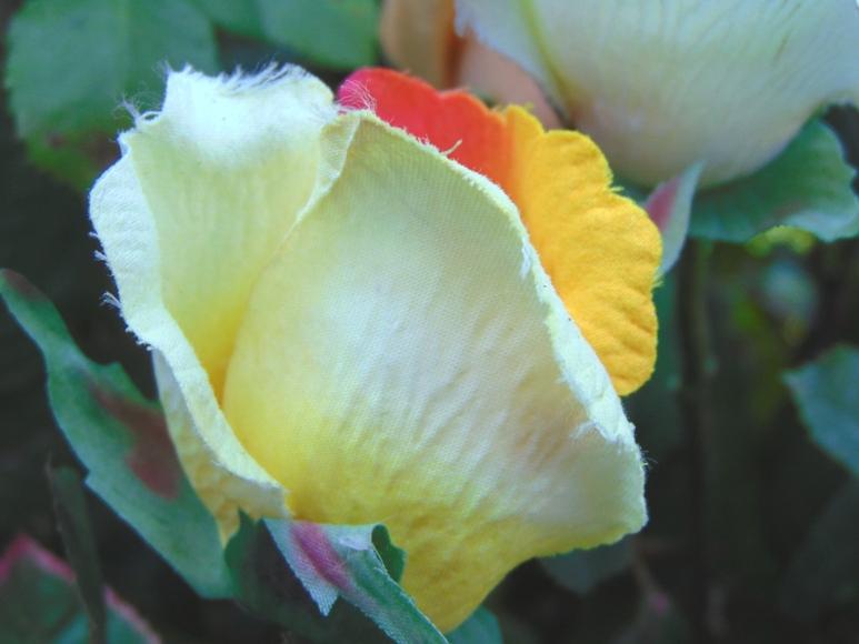 Bocciolo di rosa velvet in poliestere - Sconti per Fioristi e Aziende .