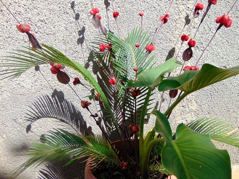 Ramo Blossom Rosso H 120 con foglie skelet - Sconti per Fioristi e Aziende .