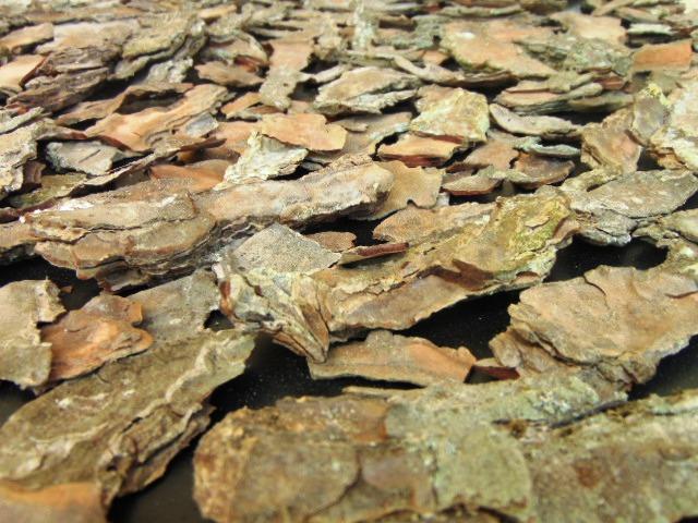 Corteccia di Pino Naturale - Sconti per Fioristi e Aziende . -  busta gr. 500