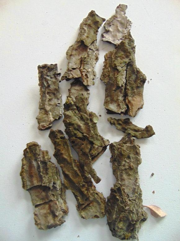 Corteccia di Pino Naturale - Sconti per Fioristi e Aziende . -  busta gr. 500