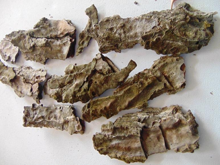 Corteccia di Pino Naturale - Sconti per Fioristi e Aziende . -  busta gr. 500