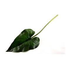 Foglia di Calla H 60 cm. - Sconti per Fioristi e Aziende . - In poliester