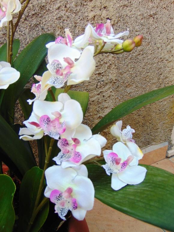 Orchidea artificiale x 2 H 56 - Sconti per Fioristi e Aziende .