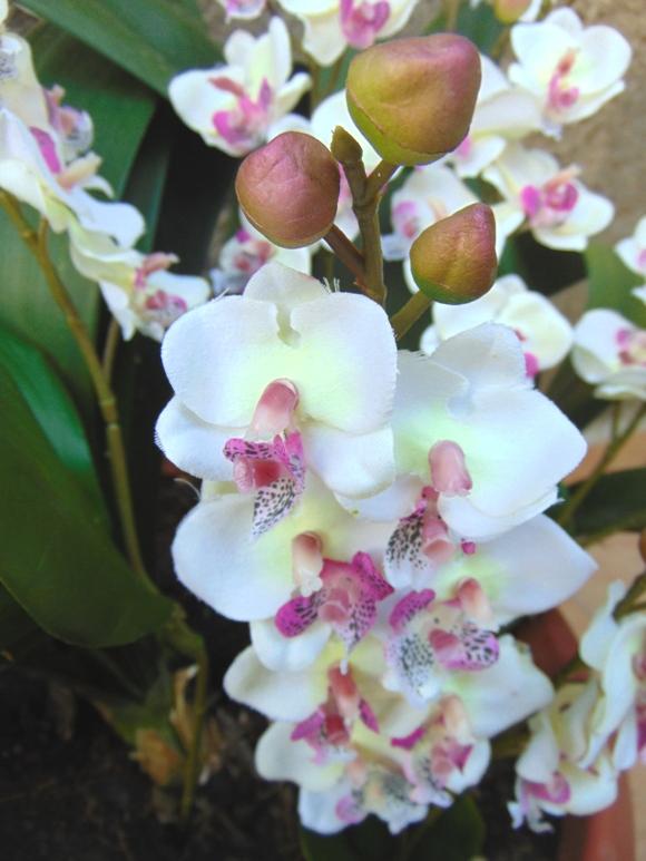 Orchidea artificiale x 2 H 56 - Sconti per Fioristi e Aziende .
