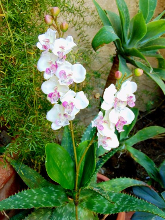 Orchidea artificiale x 2 H 56 - Sconti per Fioristi e Aziende .