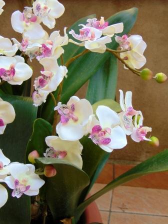 Orchidea artificiale x 2 H 56 - Sconti per Fioristi e Aziende .