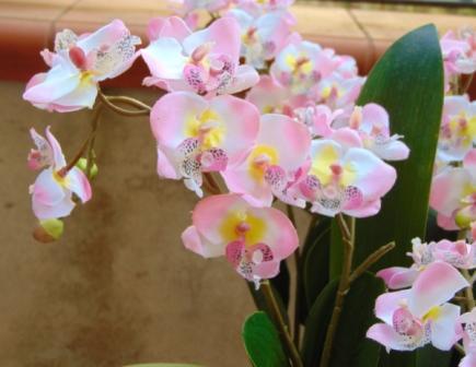 Orchidea artificiale x 2 H 56 - Sconti per Fioristi e Aziende .