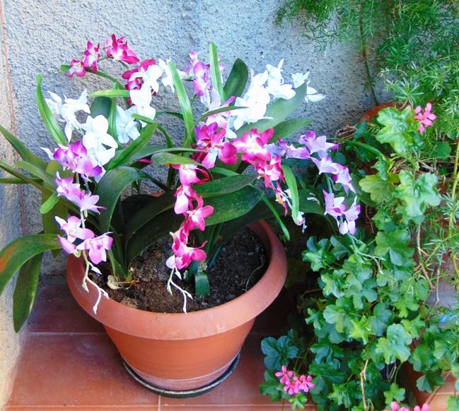 Orchidea Artificiale x 7 H 60 - Sconti per Fioristi e Aziende . in polyester