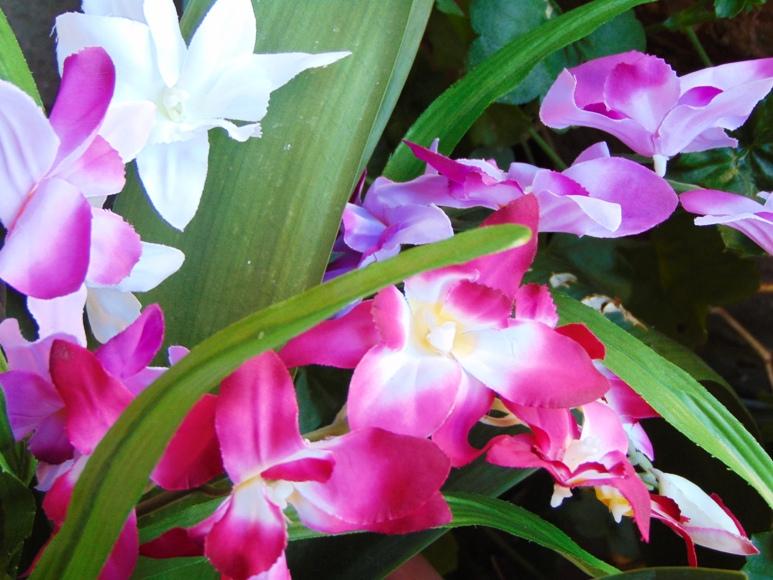 Orchidea Artificiale x 7 H 60 - Sconti per Fioristi e Aziende . in polyester