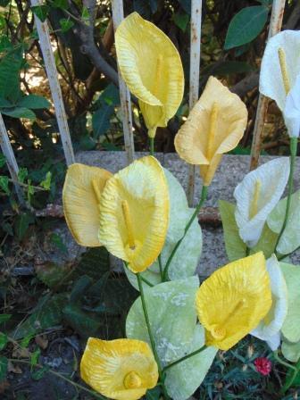 Calla x 3 in paperoof H 70 - Sconti per Fioristi e Aziende .