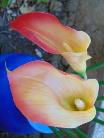 Calla singola in gomma H 60 - Sconti per Fioristi e Aziende .