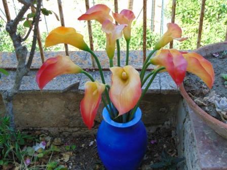 Calla singola in gomma H 60 - Sconti per Fioristi e Aziende .