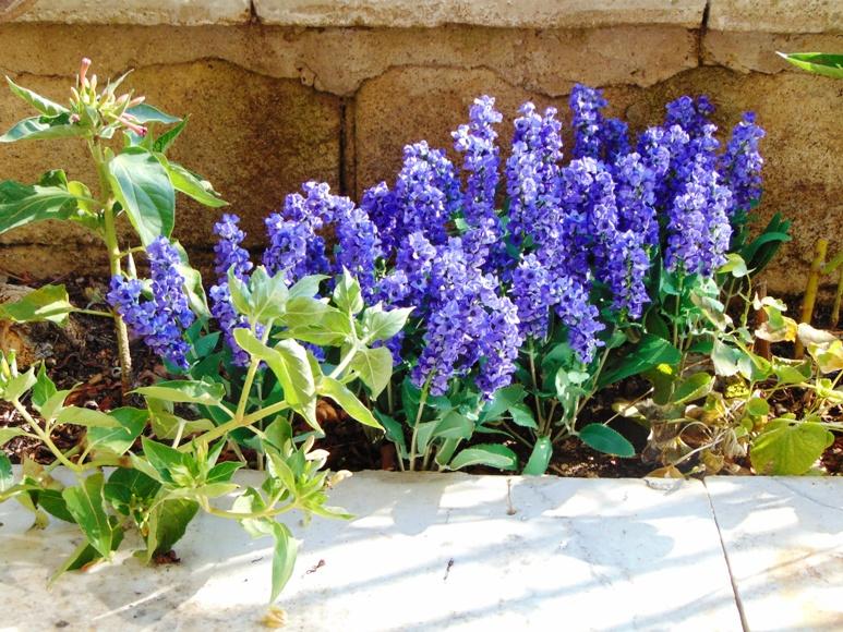 Lavanda Bush x 7 in poliester - Sconti per Fioristi e Aziende - Artificiale