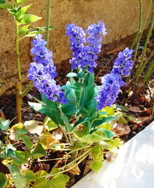 Lavanda Bush x 7 in poliester - Sconti per Fioristi e Aziende - Artificiale