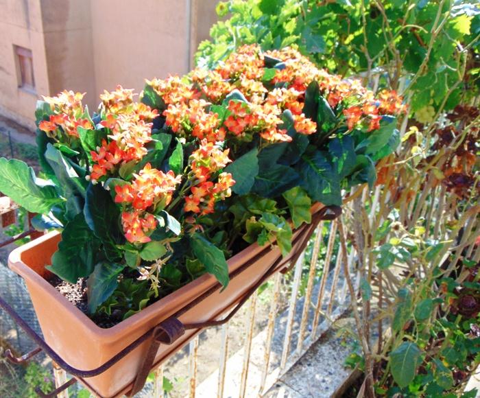 Calanchoe bush x 5 in poliester - Sconti per Fioristi e Aziende - Vari colori