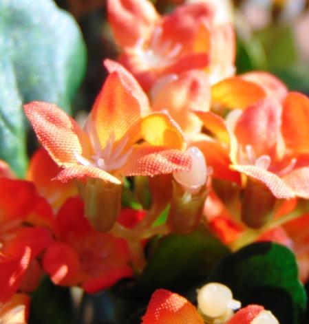 Calanchoe bush x 5 in poliester - Sconti per Fioristi e Aziende - Vari colori