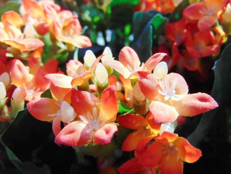 Calanchoe bush x 5 in poliester - Sconti per Fioristi e Aziende - Vari colori