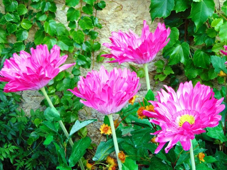 Gerbera Large Artificiale H 75 in poliestere - Sconti per Fioristi e Aziende .
