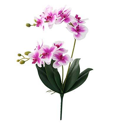 Oncidium cm. 20 con 5 foglie - Sconti per Fioristi e Aziende . - in poliestere con radici