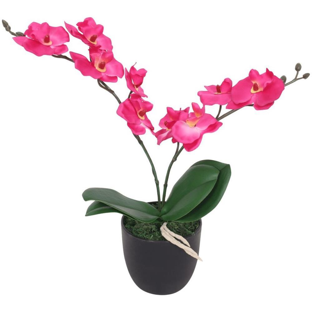 Oncidium cm. 20 con 5 foglie - Sconti per Fioristi e Aziende . - in poliestere con radici