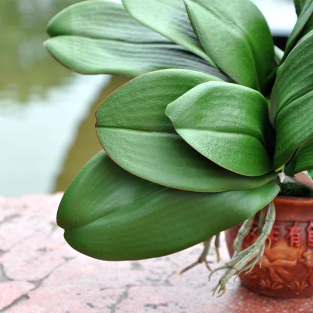 Oncidium cm. 20 con 5 foglie - Sconti per Fioristi e Aziende . - in poliestere con radici