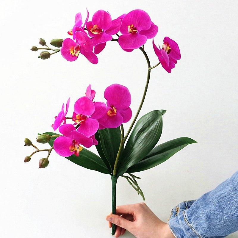 Oncidium cm. 20 con 5 foglie - Sconti per Fioristi e Aziende . - in poliestere con radici