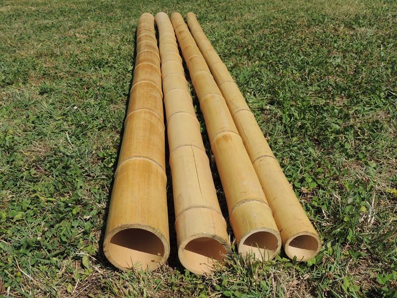 Canne di Bamboo dm. 12/14 cm. Naturale - Sconti per Fioristi e