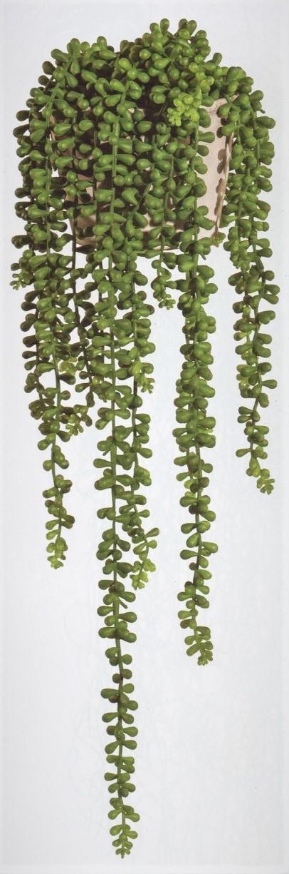 Senecio x 5 in gomma H 70 - Sconti per Fioristi e Aziende . - - Pianta del rossario Cadente