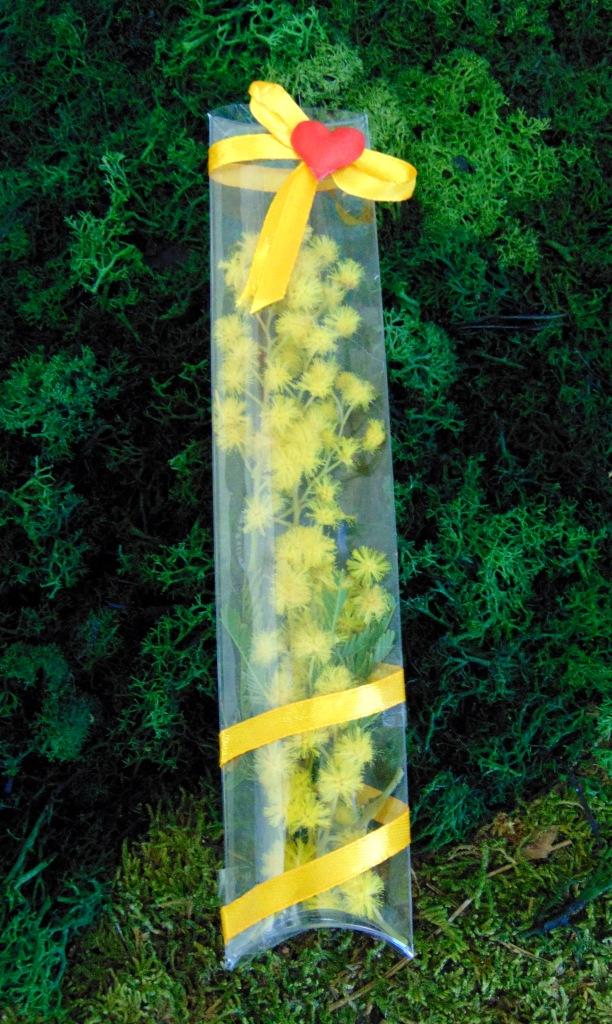 ESAURITA Mimosa fresca in tubo H 20 - Sconti per Fioristi e Aziende - in PVC trasparente