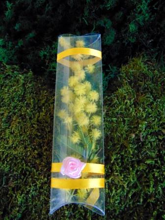 ESAURITA Mimosa fresca in tubo H 15 - Sconti per Fioristi e Aziende - in PVC trasparente
