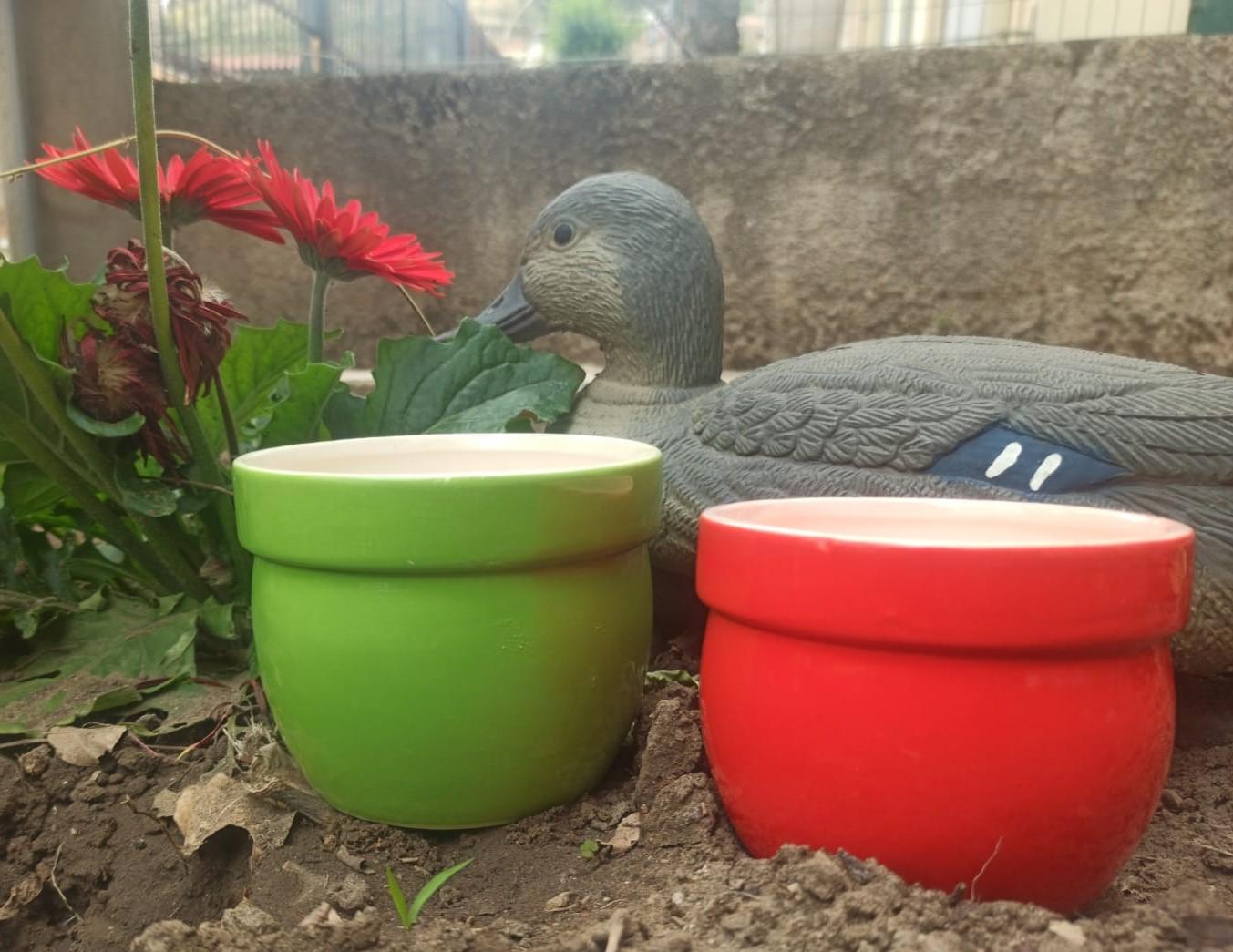 Casponcino Smaltato lucido H 10 dm.12 - Sconti per Fioristi e Aziende