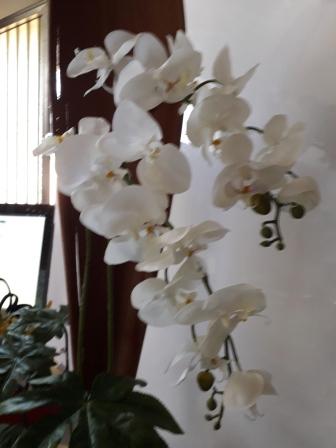 Orchidea Falenopsis H 98 - Sconti per Fioristi e Aziende . - Artificiale