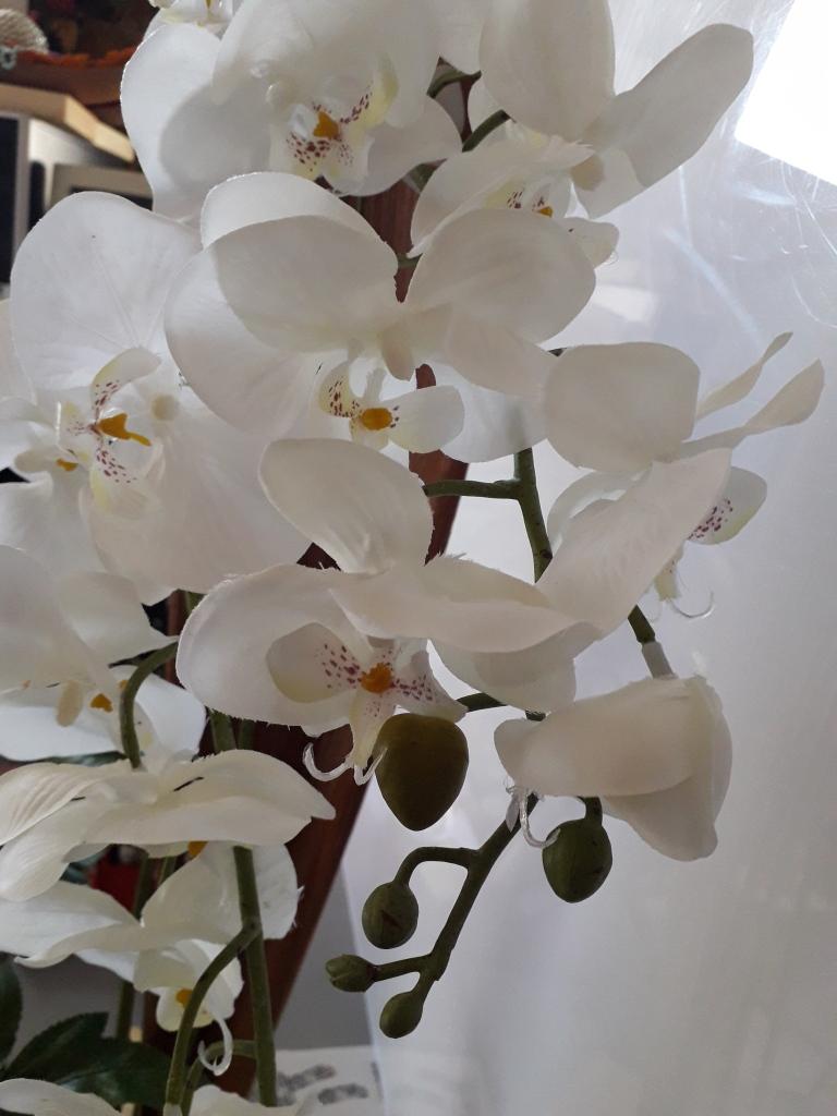 Orchidea Falenopsis H 98 - Sconti per Fioristi e Aziende . - Artificiale