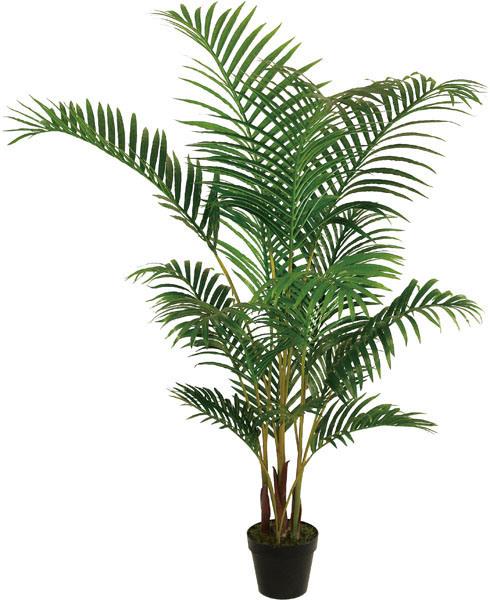 Areca palm H 170 in vaso  - Sconti per Fioristi e Aziende . - Artificiale con 2178 foglie
